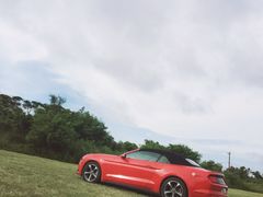 -丽姐租车