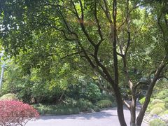 -浙江西子宾馆·瑶园咖啡厅