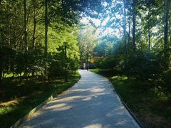 -大望京公园