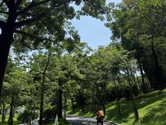-云溪植物园