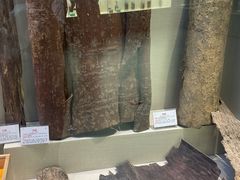 -广东中医药博物馆