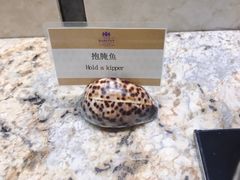 -舟山财富大酒店-自助餐厅