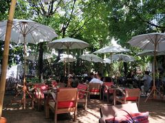 -Fern Forest Cafe