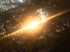 -紫金山天文台