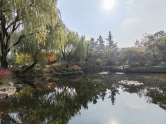 -秋霞圃