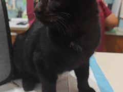 -爱诺动物医院(崂山店)