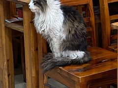 -上海特色小笼店(铁岭路90弄小区店)