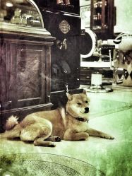 -IMUSE BARBER SHOP