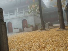 -雨花胜境