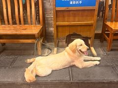 -小街天府