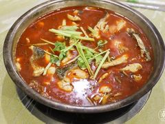-重庆特色冷锅鱼(武大店)