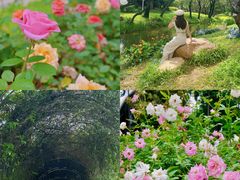 -人民公园(罗湖区)