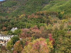 -塔川景区