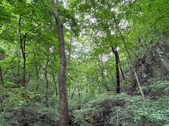 -关门山森林公园