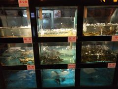 水产区-院8里·少城记忆老川菜(宽窄巷子店)