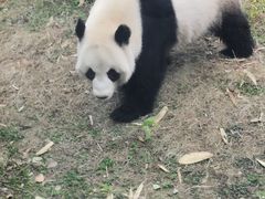 -武汉动物园