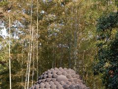 -杭州植物园