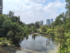 -云溪植物园