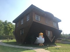 -金山农民画村-枫泾波兰倒置屋