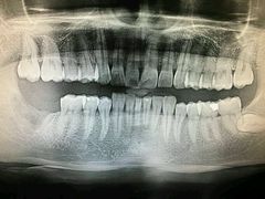 -泰康拜博口腔(世博园乐尔店)