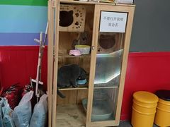 -203密室体验馆·逃脱·聚会·亲子(工体店)