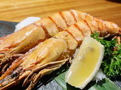 -森味薪火烧•烧鸟居酒屋•日本料理(望京店)