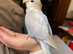 -雨林宠物医院 非犬猫异宠专科