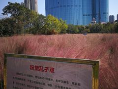 -艾溪湖湿地公园