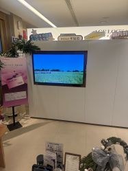 -AGE LOCK 锁龄美肌