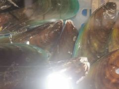 -争先鲜·蒸汽海鲜自助·鲜切牛肉