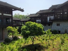 -大唐贡茶院