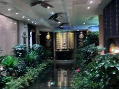 -素可汤泉(天宝大厦店)