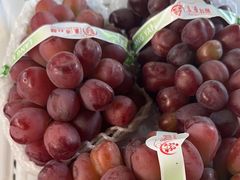 -马陆小张葡萄园农家乐