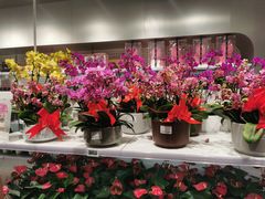 -盒马X会员店(王府井奥莱UP TOWN店)