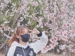 -云岗森林公园