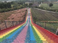 -上海杨姆庄园