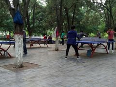 -解放人民公园