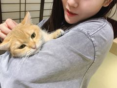 -逗柴咖啡屋·狗咖猫咖宠物桌游