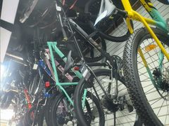 -道路口单车爱瓦士dahon大行