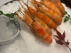 -桂满陇·海市蜃楼·黑金(国金店)
