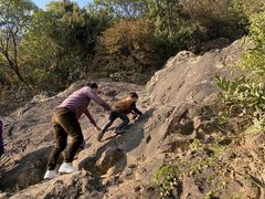 -杭州半山国家森林公园