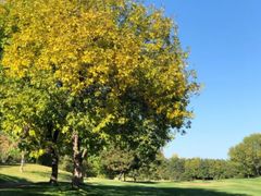 -万柳高尔夫俱乐部