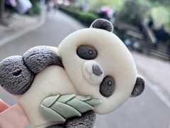 -杭州动物园