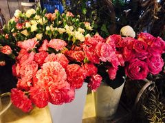 -佐佑帐篷环游记(南锣鼓巷店)