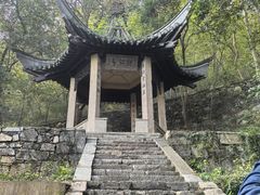 -镇江市南山风景名胜区竹林景区