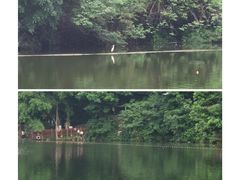 -重庆彩云湖湿地公园