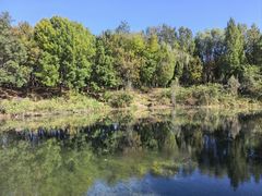 -大兴滨河森林公园