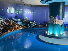 -蓬莱欧乐堡海洋极地世界