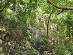 -星湖旅游景区七星岩