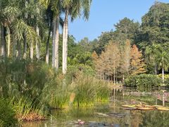-中国科学院西双版纳热带植物园
